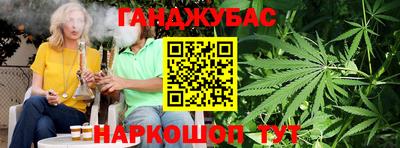 мдпв Камышлов