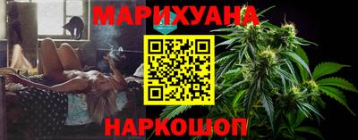 мдпв Камышлов