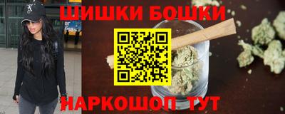 мдпв Камышлов