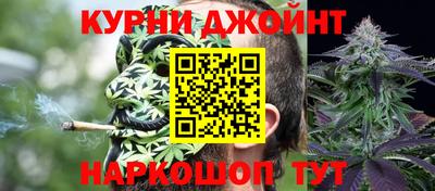 мдпв Камышлов