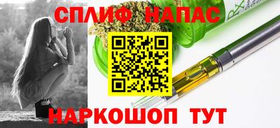 мдпв Камышлов