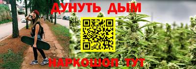 мдпв Камышлов