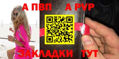 мдпв Камышлов