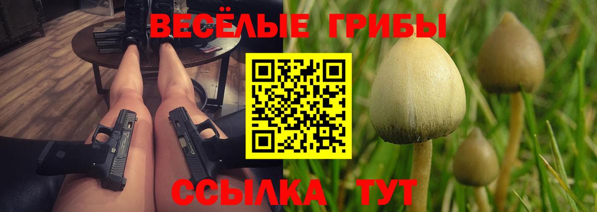 Галлюциногенные грибы мухоморы Биробиджан