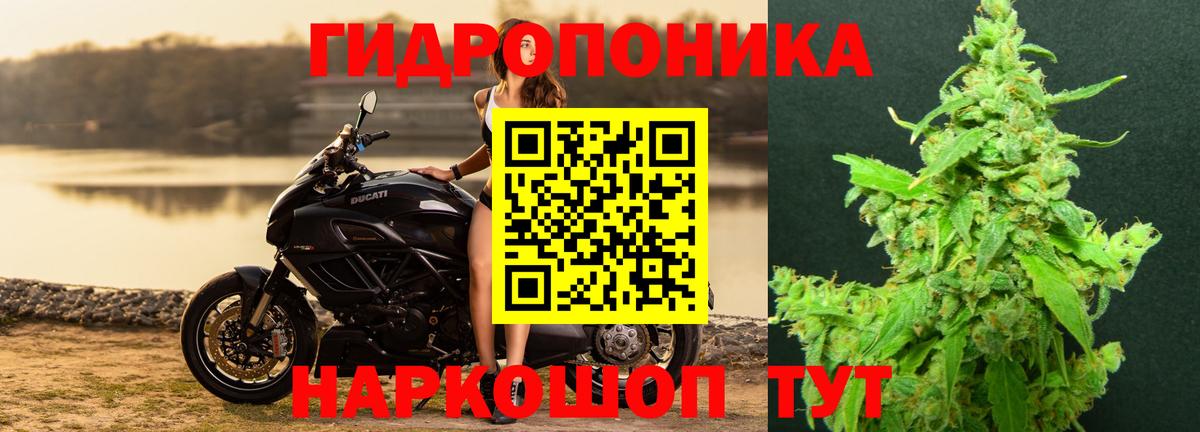 МАРИХУАНА LSD WEED  Шишки марихуана планчик  Бошки Шишки Amnesia  Вход с VPN  Бошки марихуана OG Kush  Биробиджан 