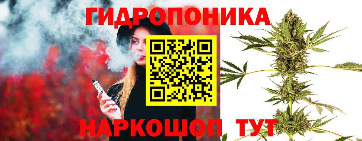 Каннабис OG Kush Биробиджан